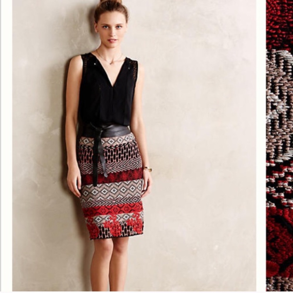 Anthropologie Baraschi Embroider Skirt NWOT